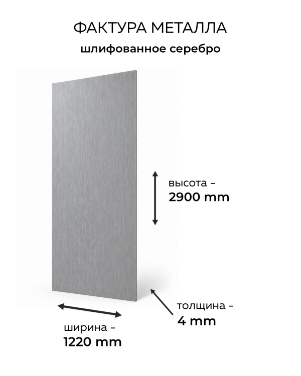 BM-202 Шлифованное серебро
