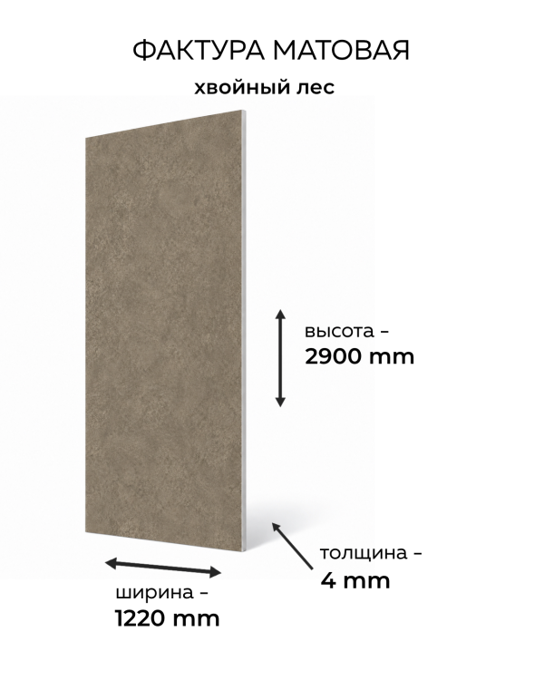 KD0118-260711 Хвойный лес